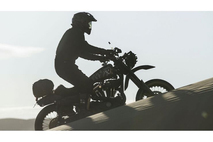 Harley-Davidson 1200 Roadster Desert Wolve de El Solitario