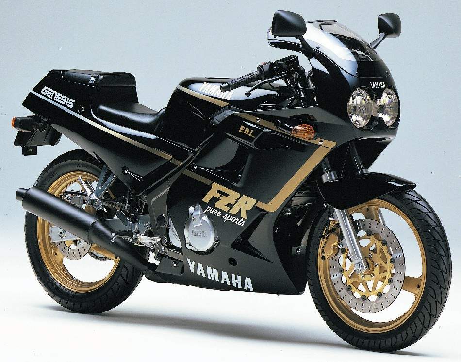 Especificaciones técnicas de la Yamaha FZR250