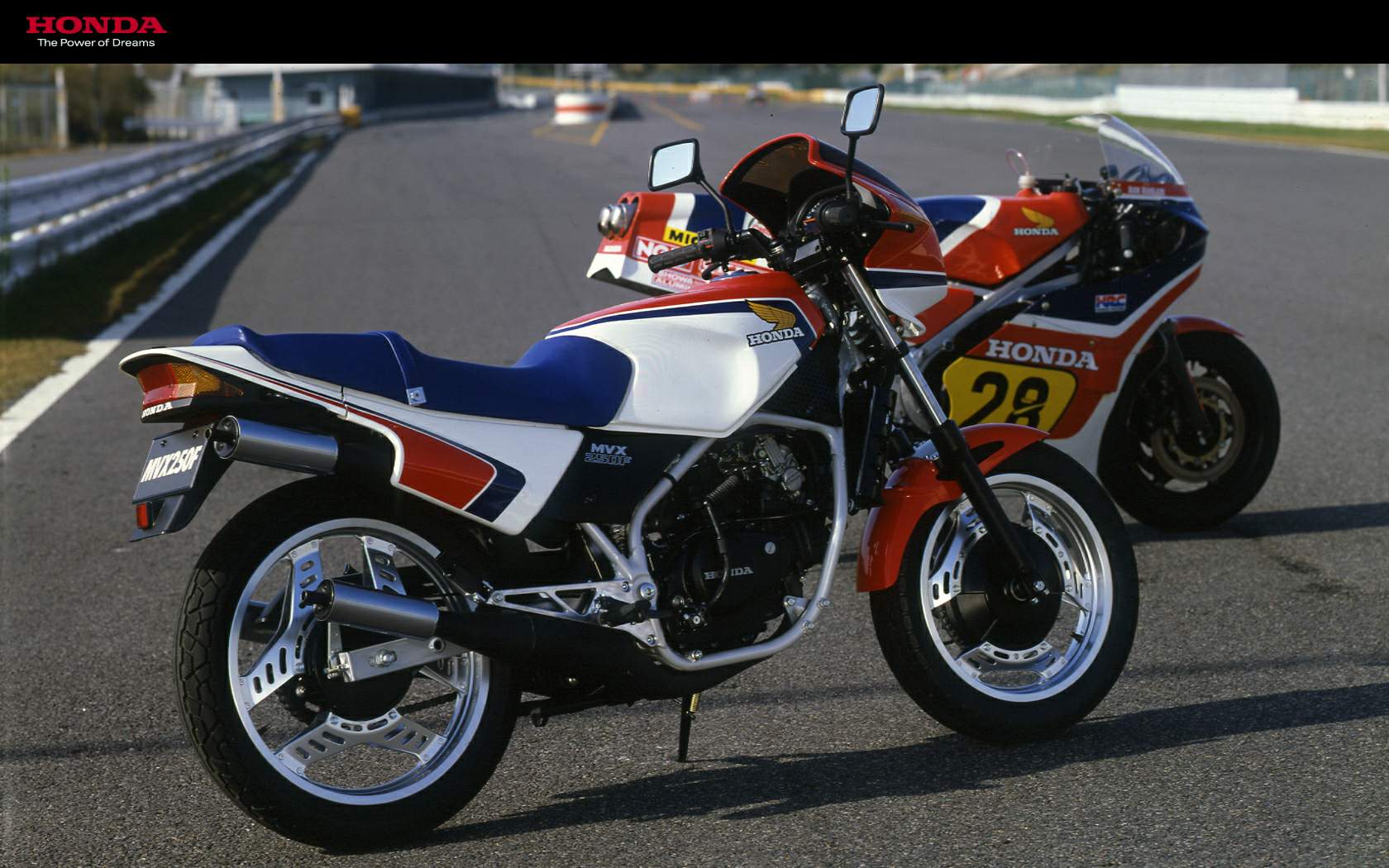 Honda MVX 250F (1983) especificaciones técnicas